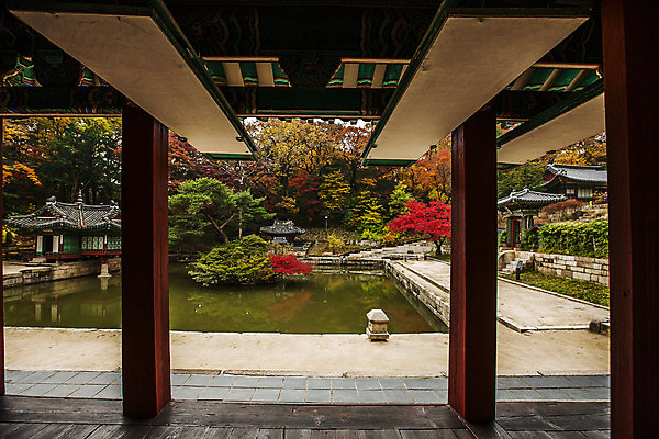 포토 JPG 주간 전통 여행 단풍 서울 풍경 사람없음 야외 가을풍경 궁전 문화재 가을 연못 국내여행 경희궁 국내포토 자연요소 계절 고건축 잎 한국 파일형식 가을_계절