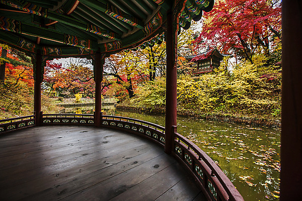 포토 JPG 주간 전통 여행 단풍 서울 풍경 사람없음 야외 가을풍경 궁전 문화재 가을 연못 창덕궁 국내여행 국내포토 자연요소 계절 고건축 잎 한국 파일형식 가을_계절