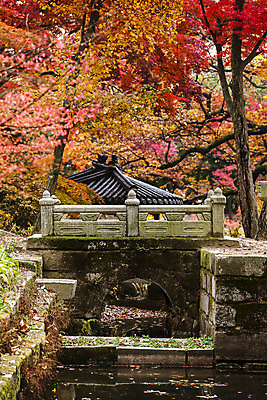 포토 JPG 주간 전통 여행 단풍 서울 풍경 사람없음 야외 가을풍경 궁전 문화재 가을 창덕궁 국내여행 국내포토 자연요소 계절 고건축 잎 한국 파일형식 가을_계절