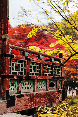 포토 JPG 주간 전통 여행 단풍 서울 풍경 근접촬영 사람없음 야외 가을풍경 궁전 문화재 가을 창덕궁 국내여행 국내포토 자연요소 계절 뷰포인트 고건축 잎 한국 파일형식 가을_계절