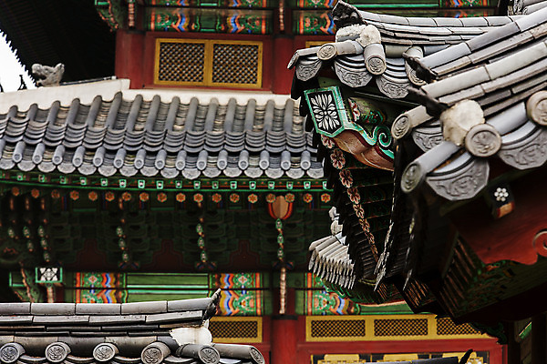 포토 JPG 주간 전통 여행 단풍 서울 단청문양 풍경 사람없음 야외 가을풍경 궁전 문화재 가을 창덕궁 국내여행 국내포토 자연요소 문양 계절 고건축 잎 한국 단청 파일형식 가을_계절