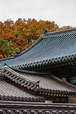 포토 JPG 주간 전통 여행 단풍 서울 풍경 사람없음 야외 가을풍경 궁전 문화재 가을 기와지붕 창덕궁 국내여행 국내포토 자연요소 계절 고건축 잎 지붕 한국 기와 파일형식 가을_계절