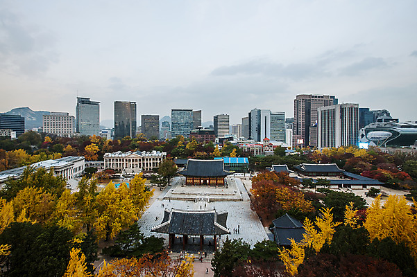 포토 JPG 주간 전통 여행 단풍 단풍나무 서울 풍경 사람없음 야외 가을풍경 궁전 문화재 가을 국내여행 덕수궁 국내포토 자연요소 나무 계절 고건축 잎 한국 파일형식 가을_계절