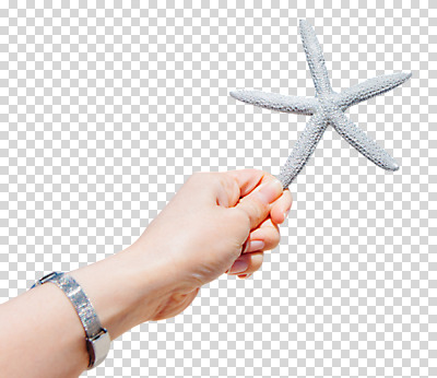 편집 편집이미지 손 여자 불가사리 한손 한명 들기 누끼 20대 신체부위 PNG 편집소스 1 모션 극피동물 사람 청년 파일형식