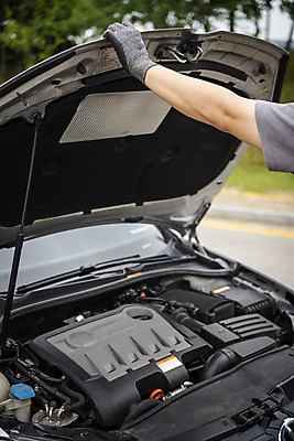 포토 JPG 주간 손 남자 40대 자동차 한명 야외 신체부위 한국인 오픈 엔진 정비공 보닛 자동차정비 정비소 경정비 국내포토 자연요소 1 육상교통 중년 사람 동양인 기술자 수리 파일형식