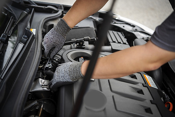 포토 JPG 주간 손 남자 40대 자동차 한명 야외 신체부위 한국인 공구 엔진 정비공 자동차정비 정비소 경정비 국내포토 자연요소 1 육상교통 중년 사람 동양인 도구 기술자 수리 파일형식