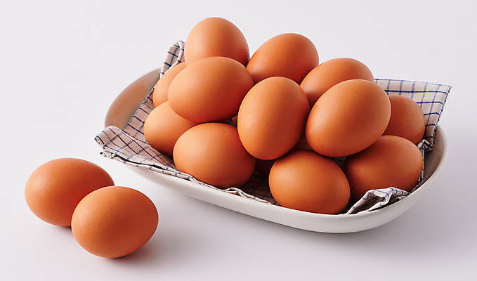 포토 JPG 스튜디오촬영 접시 식재료 실내 사람없음 계란 여러개 신선 흰배경 유기농 단백질 국내포토 식기 웰빙 다수 백그라운드 내부 알 흰색 영양소 파일형식