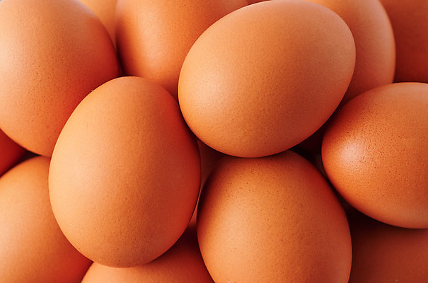 포토 JPG 스튜디오촬영 식재료 실내 근접촬영 사람없음 하이앵글 계란 여러개 신선 유기농 단백질 국내포토 웰빙 뷰포인트 다수 내부 알 영양소 파일형식