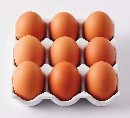 포토 JPG 스튜디오촬영 식재료 실내 사람없음 계란 여러개 신선 흰배경 유기농 계란판 단백질 국내포토 웰빙 다수 백그라운드 내부 알 흰색 영양소 파일형식