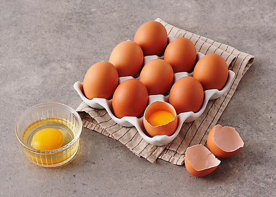 포토 JPG 스튜디오촬영 식재료 회색배경 실내 사람없음 계란 여러개 신선 계란껍데기 유기농 노른자 계란판 단백질 국내포토 웰빙 다수 백그라운드 내부 알 회색 영양소 파일형식