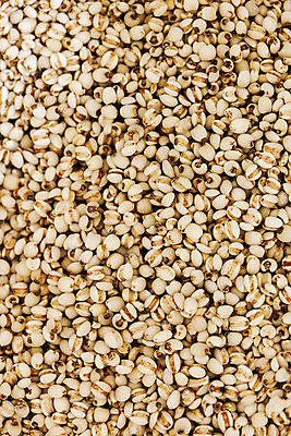 포토 JPG 식물 한국 실내 사람없음 특산물 경기도 율무 연천 국내포토 아시아 내부 파일형식