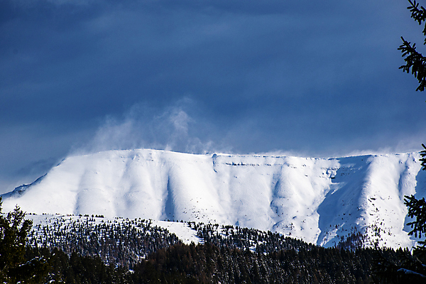 포토 JPG 해외이미지 나무 구름 계절 유럽 여행 겨울 자연 하늘 바람 날씨 휴가 산 파노라마 풍경 사람없음 야외 파란색 얼음 힘 이탈리아 산책 트래킹 흰색 서리 알프스 폭풍 내추럴 절정 눈내림 해외202009 해외포토 자연요소 식물 나라 컬러 레저 휴식 눈_날씨 촬영기법 생태계 파일형식