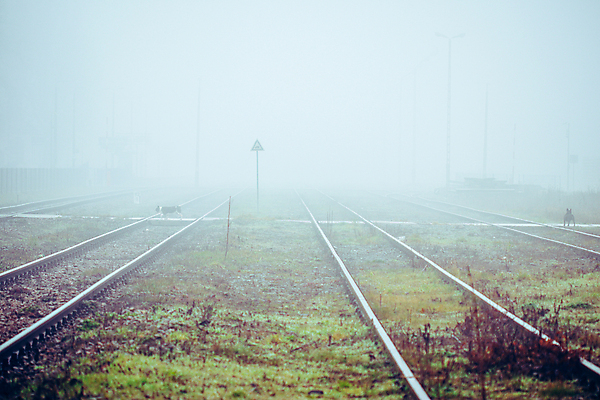 포토 JPG 해외이미지 동물 선 십자가 포유류 날씨 생물 사람없음 반려동물 산책 안개 보행자 개 접속 트랙 얼룩말 건너기 동물상 뿌연 선로 해외202009 해외포토 모션 휴식 조형물 말_동물 파일형식