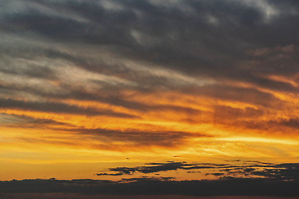 포토 JPG 해외이미지 구름 계절 백그라운드 패턴 자연 벽지 하늘 날씨 추상 안테나 파노라마 미술 풍경 사람없음 야외 여름 파란색 빛 햇빛 태양 일출 환경 맑음 침묵 일몰 봄 흰색 분위기 정상 장면 부드러움 스카이라인 내추럴 수평선 해외202009 해외포토 자연요소 컬러 컨셉 무늬 통신 문화예술 촬영기법 노을 소리 감각 생태계 파일형식