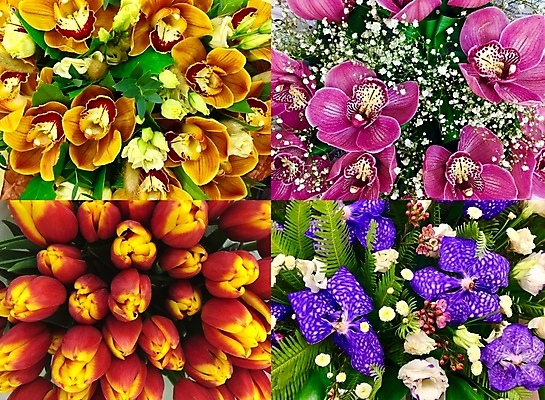 포토 JPG 해외이미지 식물 기념일 꽃잎 꽃 분홍색 꽃다발 결혼 백그라운드 꽃무늬 패턴 자연 벽지 발렌타인데이 선물 사람없음 장식 초록색 세트 컬러풀 노란색 정원 보라색 낭만 튤립 벚꽃 축하 신선 생일 개화 난초 고급 혼합 질감 아로마 이국적 해외202009 해외포토 컬러 컨셉 무늬 데이이벤트 이벤트 생태계 파일형식