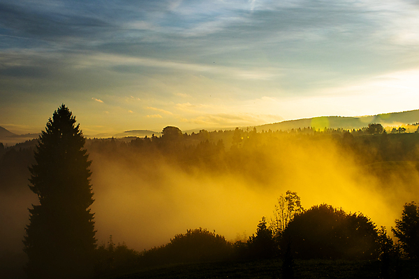 포토 JPG 해외이미지 유럽 자연 날씨 산 흑백 사랑 풍경 초원 사람없음 평화 일출 계곡 어둠 화목 침묵 고요 이탈리아 새벽 할로윈 회색 젖음 촉촉함 안개 가을 잠 수분 신비 11월 명상 상승 알프스 부드러움 10월 뿌연 통일 해외202009 해외포토 자연요소 계절 감정 나라 컬러 컨셉 촬영기법 노을 소리 감각 날짜 생태계 파일형식