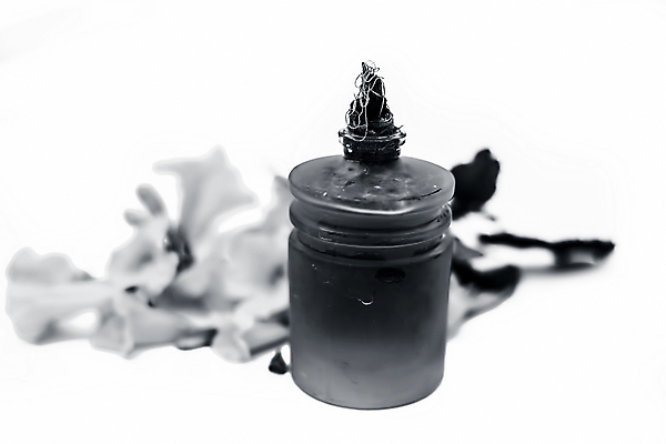 포토 JPG 해외이미지 식물 무료이미지 계절 꽃 행복 백그라운드 잎 꽃무늬 사랑 사람없음 야외 장식 초록색 물 컬러풀 약 노란색 정원 맑음 스파 봄 낭만 벚꽃 흰색 물방울 신선 황금 이슬 허브 포도나무 아로마테라피 고립 에센스 추출 해외202009 해외202105 해외포토 자연요소 감정 컬러 컨셉 무늬 의학 날씨 화장품 과일나무 테라피 파일형식