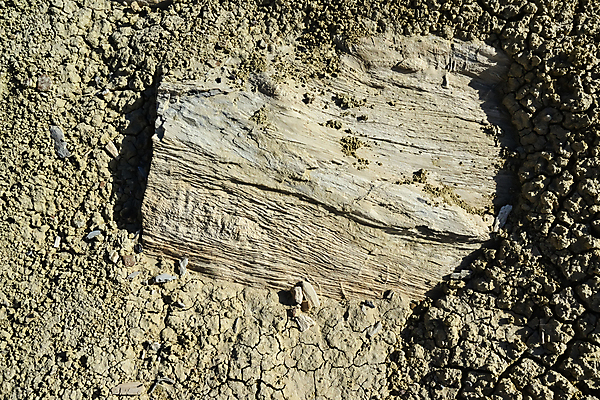 포토 JPG 해외이미지 공원 자연 산 멕시코 건조 국립공원 풍경 사람없음 야외 가로 스터디 계곡 미국 사막 탐험 외계인 가을 바위 황무지 사암 뉴멕시코 전국 지질학 특별함 해외202009 해외포토 계절 공공시설 교육 컨셉 북아메리카 학습 미확인물체 돌_바위 생태계 파일형식