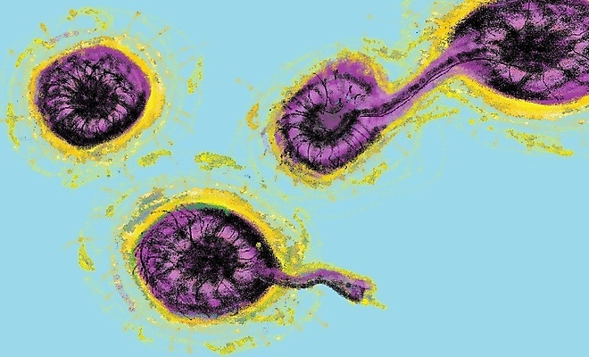 포토 JPG 해외이미지 과학 백그라운드 일러스트 생물 건강 사람 사람없음 파란색 빛 컬러풀 약 3D 검은색 어둠 호흡기관 바이러스 질병 생물학 만들기 감염 미생물 전염병 해외202009 해외포토 교육 컬러 의학 모션 장기_의학 디지털합성 파일형식