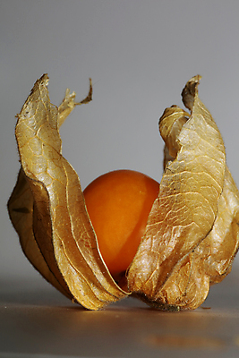 포토 JPG 해외이미지 식물 전통 계절 열매 꽃 음식 잎 다이어트 토마토 오렌지 과일 자연 탁자 디저트 건강 요리 사람없음 노란색 중국 놀람 껍질 신선 원형 체리 황금 달콤 맛 작음 망토 먹기 날것 비타민 땅바닥 숙성 식용 이국적 페루 페스츄리 맛있는 해외202009 해외포토 도형 감정 아시아 빵 컬러 가구 컨셉 채소 모션 바닥 표정 남아메리카 크기 생태계 영양소 파일형식