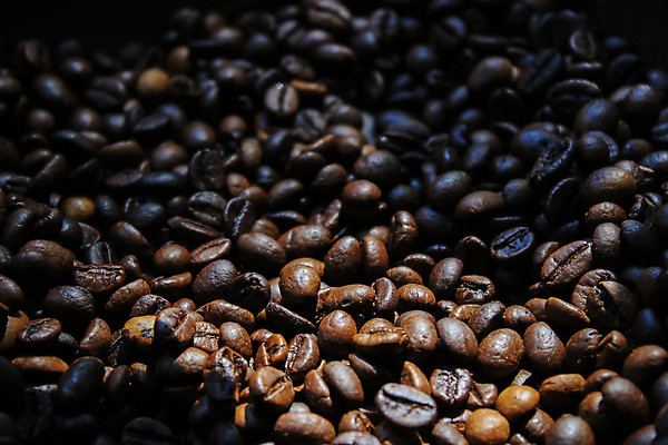 포토 JPG 해외이미지 스튜디오촬영 무료이미지 커피 음료 포즈 백그라운드 재료 아침 휴식 콩 실내 따뜻함 씨앗 사람없음 가로 컬러풀 햇빛 갈색 검은색 활발 우유 수확 시골 신선 시간 작업 연기 아침식사 농부 수증기 컨테이너 굽기 향기 아로마 에스프레소 단절 양조 카페인 캡모자 그리너리 해외202009 해외202105 해외포토 주간 식물 직업 모자_잡화 산업 컬러 컨셉 농업 유제품 곡류 내부 태양 식사 구이 냄새 파일형식 트랜드컬러 무료콘텐츠