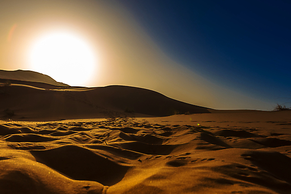 포토 JPG 해외이미지 모래 여행 백그라운드 오렌지 아프리카 자연 하늘 건조 풍경 사람없음 야외 노란색 일몰 사막 뜨거움 모래언덕 언덕 낙타 모로코 사하라 아랍어 해외202009 해외포토 나라 컬러 과일 포유류 노을 생태계 파일형식
