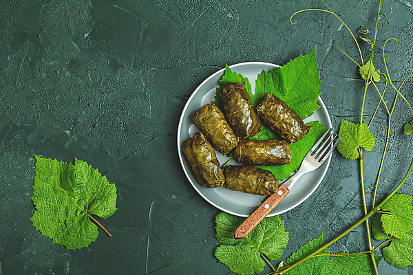 포토 JPG 해외이미지 백인 전통 식기 접시 음식 잎 포장 탁자 포도 밥 건강 육류 요리 사람없음 초록색 수건 식사 저녁식사 수확 시골 중앙 맛 은색 지중해 그리스 냅킨 롤 포도나무 동쪽 그리스인 점심식사 폭식 조지아 핸드메이드 맛있는 해외202009 튀르키예 해외포토 서양인 식물 유럽 아시아 바다 컬러 가구 컨셉 농업 과일 식재료 위생용품 과일나무 방향 동유럽 파일형식