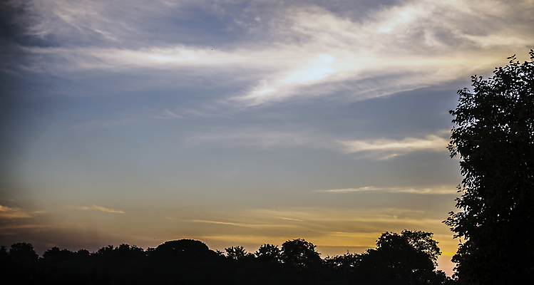 포토 JPG 해외이미지 나무 1 계절 공원 실루엣 백그라운드 밭 자연 하늘 날씨 풍경 초원 사람없음 야외 빨간색 여름 파란색 태양 평화 일출 환경 황혼 일몰 새벽 사막 수확 가을 시골 황무지 황금 고독 저녁 11월 땅 싱글 사바나 혼자 수평선 해외202009 해외포토 자연요소 식물 공공시설 감정 컬러 컨셉 농업 촬영기법 노을 날짜 야간 생태계 파일형식
