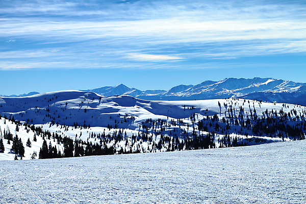 포토 JPG 해외이미지 나무 여행 겨울 자연 하늘 휴가 스키 산 풍경 경사 사람없음 야외 파란색 평화 맑음 얼음 추위 흰색 소나무 정상 숲 언덕 서리 내추럴 콜로라도 로키산맥 해외202009 해외포토 자연요소 식물 계절 컬러 컨셉 날씨 겨울스포츠 미국 생태계 파일형식