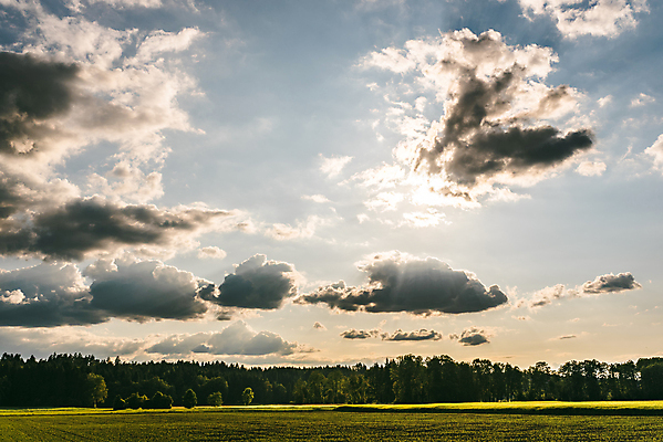포토 JPG 해외이미지 나무 식물 구름 계절 도로 밭 농업 자연 하늘 날씨 씨앗 풍경 초원 사람없음 야외 초록색 여름 파란색 농작물 햇빛 태양 농장 노란색 일출 정원 일몰 봄 수확 성장 전원 시골 오스트리아 황금 숲 땅 밀 데이지 방법 평야 해외202009 해외포토 자연요소 꽃 유럽 산업 길 컬러 교통시설 곡류 노을 전기에너지 생태계 파일형식