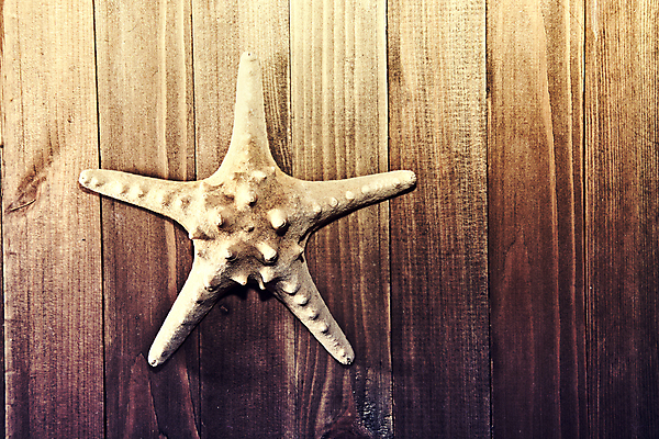 포토 JPG 해외이미지 디자인 배너 별 모래 바다 여행 백그라운드 컨셉 패턴 자연 벽지 날씨 휴가 조개 휴식 불가사리 프레임 어류 해변 사람없음 목재 여름 태양 산책로 껍질 거친 널 갑판 묘사 휴양지 질감 엽서 내추럴 수목 옛날 해외202009 해외포토 자연요소 나무 계절 길 무늬 배_교통 재료 어패류 극피동물 수중동물 장소 편지 생태계 파일형식