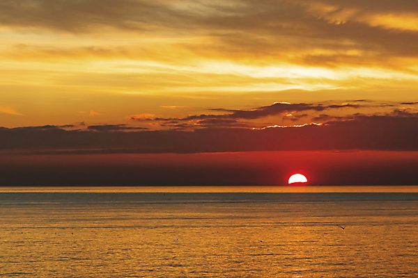 포토 JPG 해외이미지 구름 호수 파도 바다 여행 백그라운드 오렌지 건축양식 자연 하늘 아침 날씨 풍경 사람없음 야외 물 여름 파란색 빛 도시풍경 햇빛 태양 반사 노란색 일출 맑음 황혼 일몰 새벽 도시 황금 도심 저녁 장면 스카이라인 수평선 해외202009 해외포토 주간 자연요소 계절 건축 컬러 과일 노을 야간 생태계 파일형식