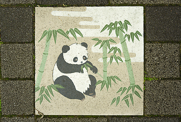 포토 JPG 해외이미지 동물 무료이미지 디자인 산업 아시아 분홍색 잎 건축양식 부분 바닥 사람없음 야외 장식 초록색 갈색 일본 사진촬영 산책 블록 도시 도자기 도쿄 심볼 타일 대나무 질감 내추럴 업그레이드 중고 화강암 해외202009 해외202105 해외포토 나무 식물 건축 나라 컬러 휴식 촬영 암석 파일형식