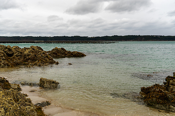 포토 JPG 해외이미지 유럽 바다 여행 조류 하늘 날씨 휴가 해변 사람없음 여름 흐름 프랑스 수평선 해외202009 해외포토 동물 계절 나라 컨셉 파일형식