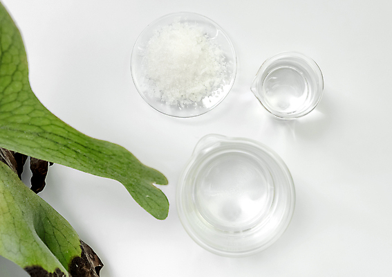 포토 JPG 해외이미지 라이프스타일 접시 조각 과학 잎 신체 자연 건강 병원 사람없음 치료 초록색 물 스파 목욕 화장품 장비 흰색 신선 투명 액체 그룹 실험실 상품 크리스탈 허브 피부 유기농 비커 소금 유리그릇 조제 내추럴 돌봄 수분크림 위생관리 화학물질 해외202009 해외포토 자연요소 식물 그릇 식기 웰빙 컬러 의학 모션 유리 실험기구 실험 관리 생활 신체부위 뷰티 약 청결 화학 광석 생태계 만들기 파일형식