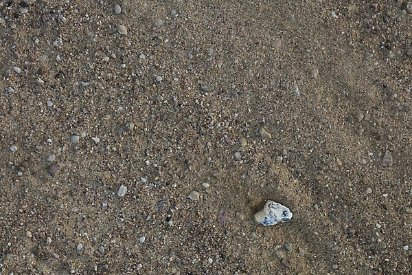 포토 JPG 해외이미지 모래 백그라운드 패턴 자연 표면 추상 사람없음 빛 갈색 거친 낟알 만족 질감 날것 결 내추럴 작살 해외202009 해외포토 감정 컬러 무늬 생태계 파일형식