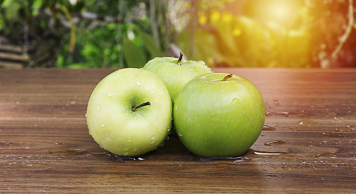 포토 JPG 해외이미지 할머니 음식 줄기 잎 다이어트 과일 3 사람없음 목재 초록색 물 우주 건강관리 신선 그룹 달콤 떨어짐 사과 먹기 카피스페이스 해외202009 해외포토 자연요소 나무 식물 여자 노년 컬러 컨셉 재료 모션 건강 관리 공백 맛 파일형식