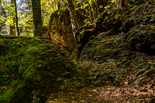 포토 JPG 해외이미지 주간 나무 여행 자연 휴가 휴식 산 사람없음 야외 물 강 골짜기 계곡 맑음 수영 폭포 하이킹 흐름 조약돌 시골 개울 급류 숲 바이에른 해외202009 해외포토 자연요소 식물 컨셉 레저 날씨 독일 돌_바위 수상스포츠 생태계 파일형식