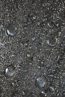 포토 JPG 해외이미지 디자인 백그라운드 잎 자연 벽지 아침 날씨 잔디 초원 사람없음 야외 물 여름 빛 햇빛 환경 디지털 침묵 봄 활발 거품 회색 젖음 신선 투명 액체 떨어짐 이슬 불기 빗방울 오브젝트 흰배경 애니메이션 고립 정중 카피스페이스 해외202009 해외포토 주간 자연요소 식물 계절 컬러 컨셉 모션 태양 소리 공백 흰색 비_날씨 생태계 파일형식