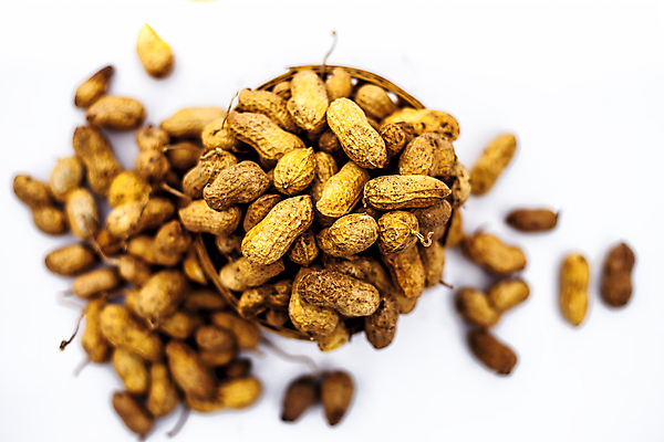 포토 JPG 해외이미지 식물 음식 백그라운드 다이어트 재료 자연 건조 건강 씨앗 사람없음 갈색 쌓기 바구니 견과류 껍질 흰색 원숭이 그룹 닫기 맛 굽기 오브젝트 유기농 완두콩 알맹이 날것 땅콩 흙더미 내추럴 고립 땅바닥 해외202009 해외포토 웰빙 컬러 컨셉 포유류 모션 콩 바닥 흙 구이 생태계 파일형식 더미