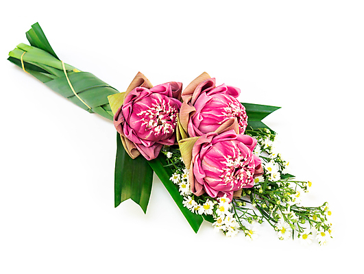 포토 JPG 해외이미지 전통 꽃 아시아 종교 문화 분홍색 백그라운드 불교 태국 자연 미술 동양인 사람없음 빛 노란색 평화 흰색 기도 사찰 심볼 명상 숭배 해외202009 해외포토 식물 나라 컬러 컨셉 종교건축 문화예술 인종 생태계 파일형식