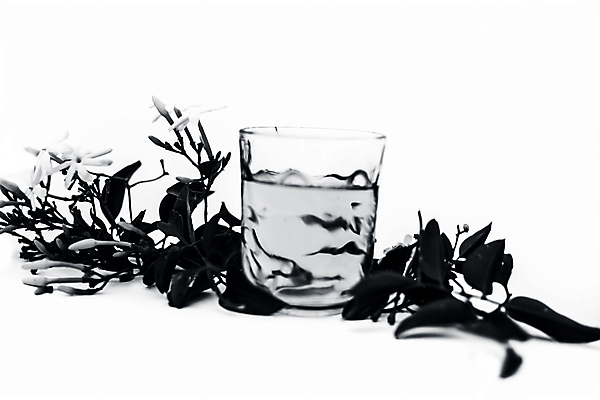 포토 JPG 해외이미지 식물 꽃 얼굴 백그라운드 잎 자연 건강 사람없음 치료 초록색 약 스파 화장품 투명 실험실 약초 인도인 허브 피부관리 향기 아로마 성분 내추럴 개발 돌봄 에센스 추출 해외202009 해외포토 외국인 컬러 의학 모션 실험 동양인 신체부위 뷰티 풀_식물 생태계 냄새 파일형식