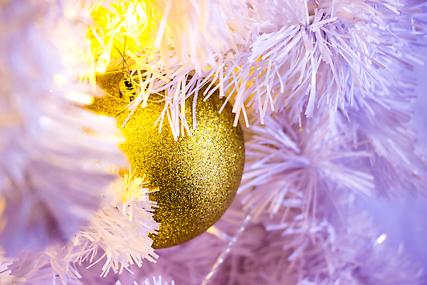 포토 JPG 해외이미지 나무 전통 계절 행복 별 리본 문화 백그라운드 잎 크리스마스 겨울 공 유리 휴가 새로움 사람없음 장식 빛 파티 축제 활발 장식볼 흰색 축하 소나무 원형 신용카드 황금 소프트포커스 12월 오브젝트 싱글 보케 전나무 전국 카피스페이스 해외202009 해외포토 자연요소 도형 식물 기념일 감정 컬러 컨셉 재질 촬영기법 이벤트 금융 공백 날짜 파일형식