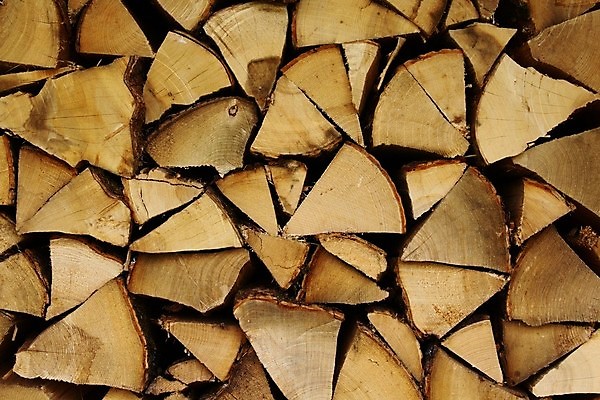 포토 JPG 해외이미지 나무 백그라운드 자연 사람없음 목재 갈색 쌓기 숲 장작 자르기 해외202009 해외포토 식물 컬러 재료 모션 생태계 파일형식