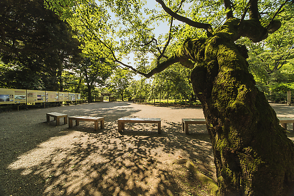 포토 JPG 해외이미지 나무 식물 전통 교육 문화 조각 잎 불교 휴식 그림자 미술 사람없음 야외 목재 초록색 빛 컬러풀 태양 문 정원 일본 맑음 보라색 광선 이름 영혼 우아함 도쿄 그늘 대나무 대문 수국 구식 해외202009 해외포토 자연요소 꽃 아시아 종교 컬러 컨셉 재료 날씨 문화예술 파일형식
