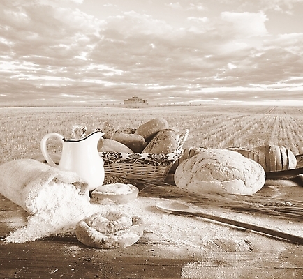 포토 JPG 해외이미지 사람없음 시리얼 해외202009 해외포토 음식 파일형식