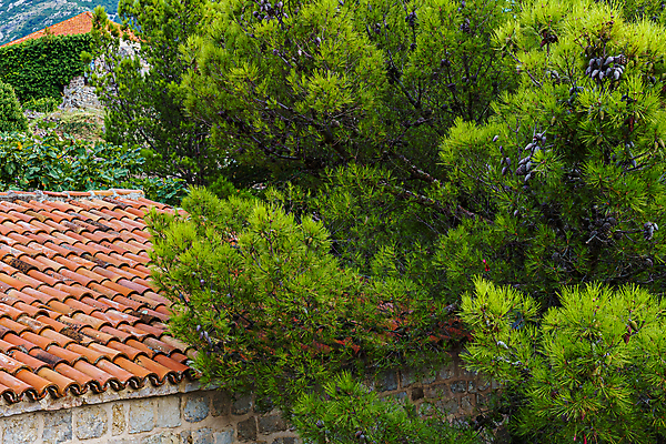포토 JPG 해외이미지 나무 구름 벽 여행 백그라운드 건축양식 창문 자연 지붕 풍경 사람없음 야외 건물 여름 회색 바위 역사 지중해 몬테네그로 발칸반도 부드바 옛날 해외202009 해외포토 자연요소 식물 건축물 계절 건축 바다 컬러 돌_바위 생태계 파일형식