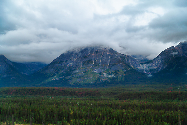 포토 JPG 해외이미지 나무 공원 호수 여행 백그라운드 캐나다 자연 하늘 산 풍경 사람없음 야외 초록색 물 여름 파란색 강 계곡 얼음 하이킹 개울 황무지 숲 빙하 내추럴 선로 전국 절정 해외202009 해외포토 자연요소 식물 계절 공공시설 컬러 북아메리카 레저 생태계 파일형식