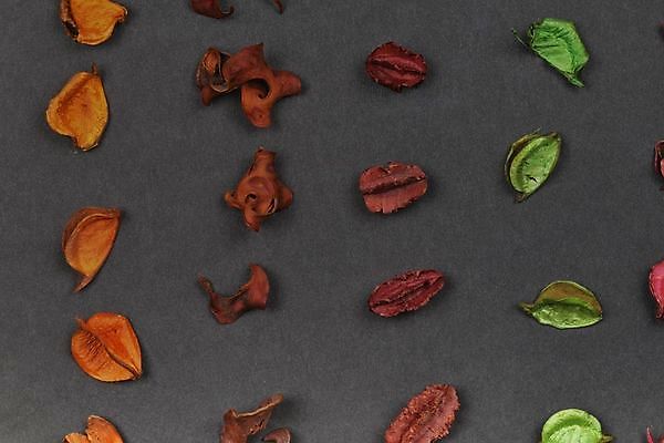 포토 JPG 해외이미지 식물 전통 디자인 계절 열매 꽃 백그라운드 컨셉 크리스마스 꽃무늬 자연 탁자 건조 미술 사람없음 장식 빨간색 초록색 갈색 축제 펼침 소나무 신용카드 황금 선택 숲 배열 향기 냄새 원뿔 내추럴 해외202009 해외포토 도형 나무 기념일 컬러 가구 무늬 모션 문화예술 금융 생태계 파일형식