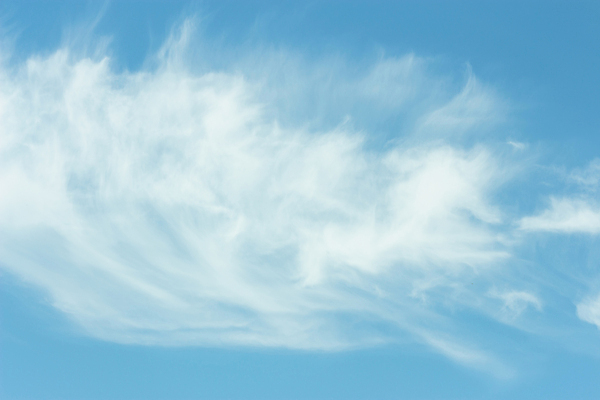 포토 JPG 해외이미지 구름 하늘색 자연 벽지 하늘 바람 날씨 추상 사람없음 야외 공중 파란색 빛 우주 환경 침묵 활발 자유 흰색 물방울 전원 오픈 분위기 매끈함 질감 장면 부드러움 천국 솜털 스카이라인 흐림 내추럴 오존 부족함 해외202009 흩어짐 해외포토 자연요소 컬러 컨셉 무늬 소리 감각 전기에너지 생태계 파일형식